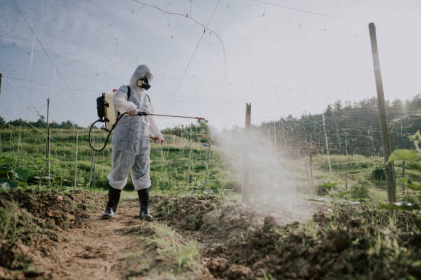 Best Pest Removal Services  in Beechwood, MI