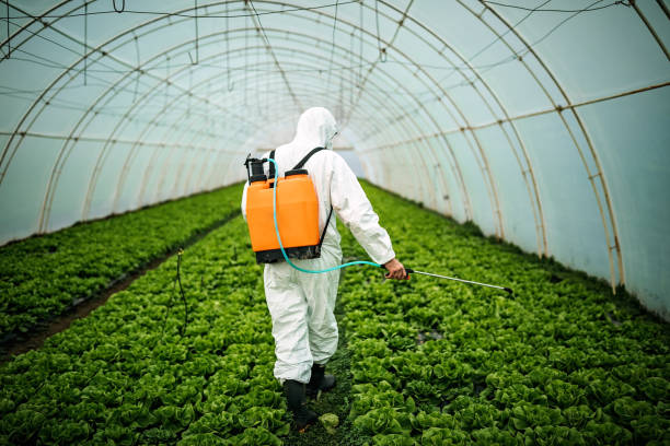 Pest Control Cost in Beechwood, MI