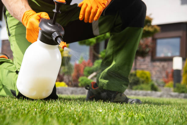 Best Pest Control Near Me in Beechwood, MI