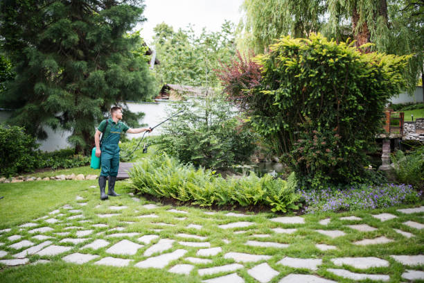 Best Mosquito Control Services  in Beechwood, MI