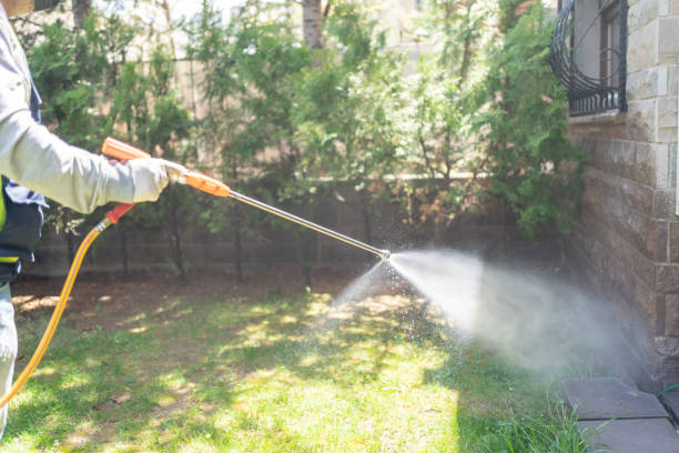Best Pest Control for Businesses  in Beechwood, MI