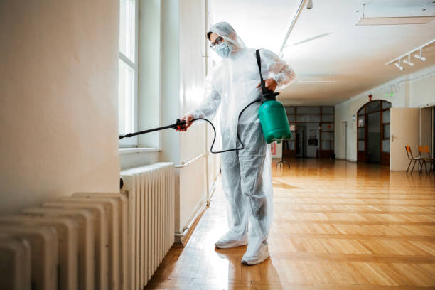 Best Cockroach Control Services  in Beechwood, MI