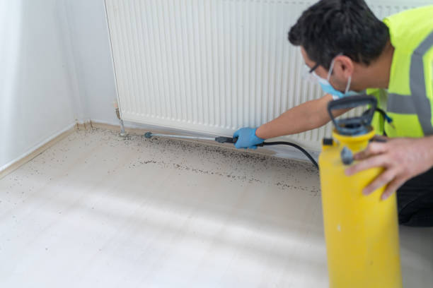 Best Commercial Pest Control Services  in Beechwood, MI