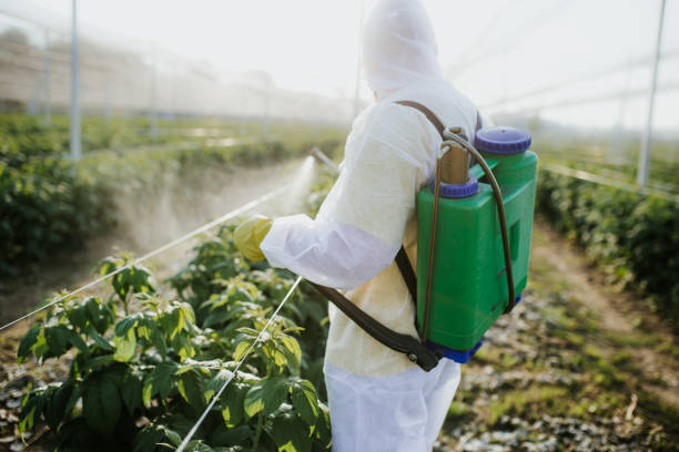 Best Best Pest Control Companies  in Beechwood, MI